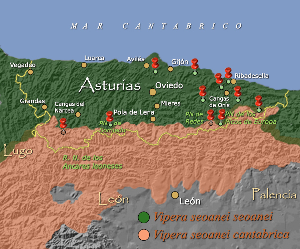 Provincia de Asturias