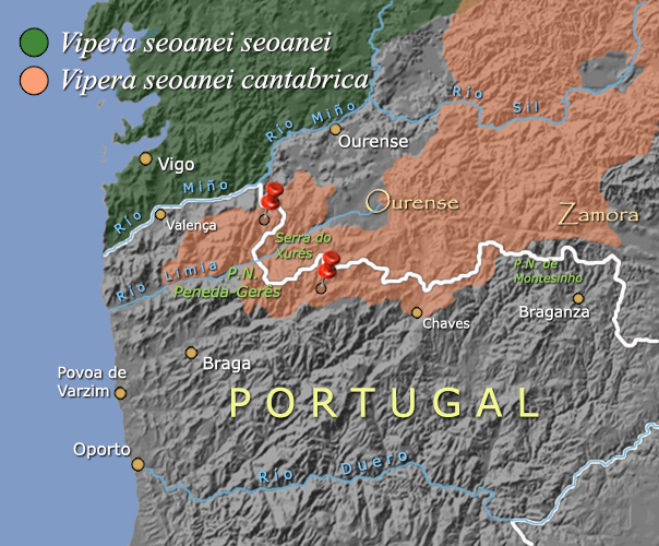 Provincia de Portugal