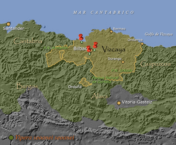 Provincia de Vizcaya